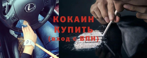 хмурый Горно-Алтайск