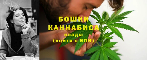 хмурый Горно-Алтайск