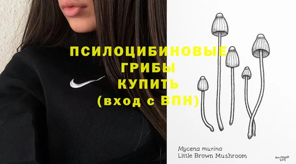 хмурый Горно-Алтайск