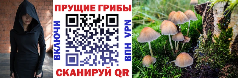 Галлюциногенные грибы MAGIC MUSHROOMS  купить закладку  блэк спрут как зайти  Яровое 